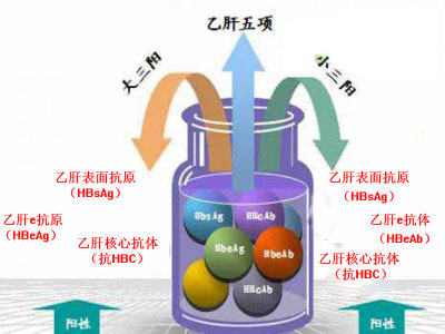 乙肝小三阳治疗郑州地区